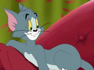 tom and jerry (compilation of new series)